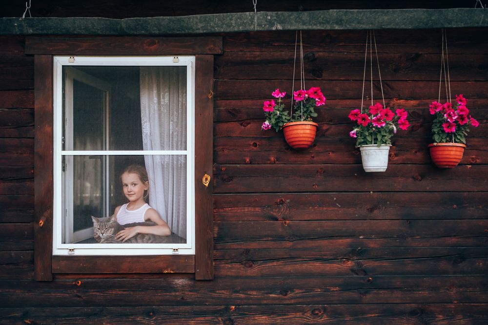 Photograph by Анастасия Макеева