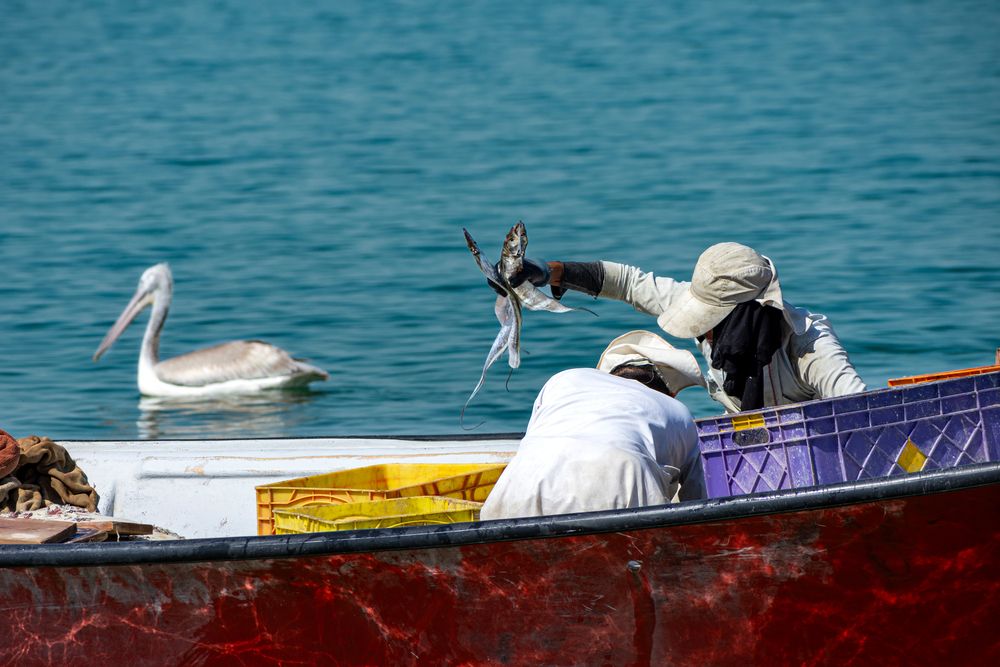Photograph by Shahrouz Panahi
