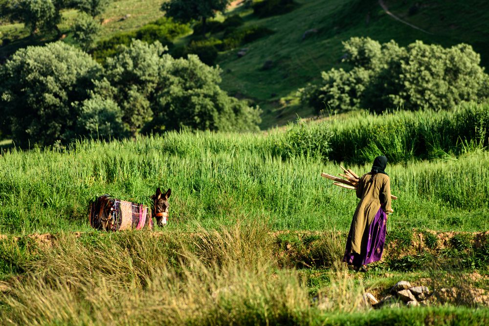 Photograph by Shahrouz Panahi