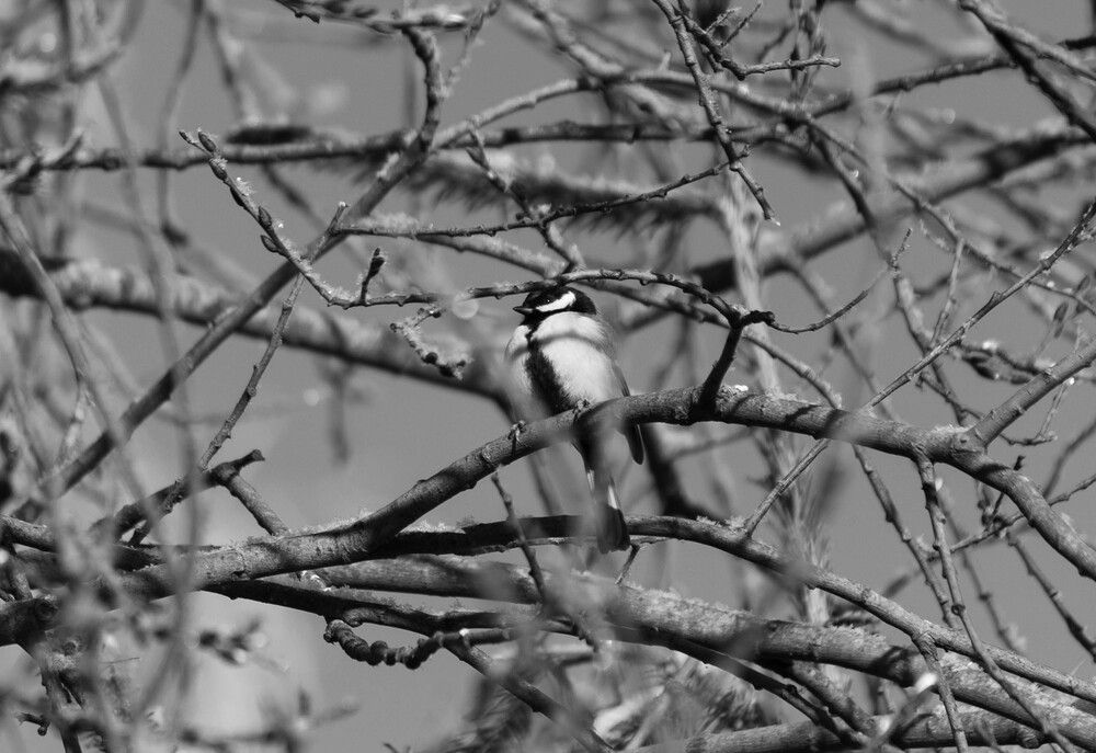 Photograph by Алина Павлова