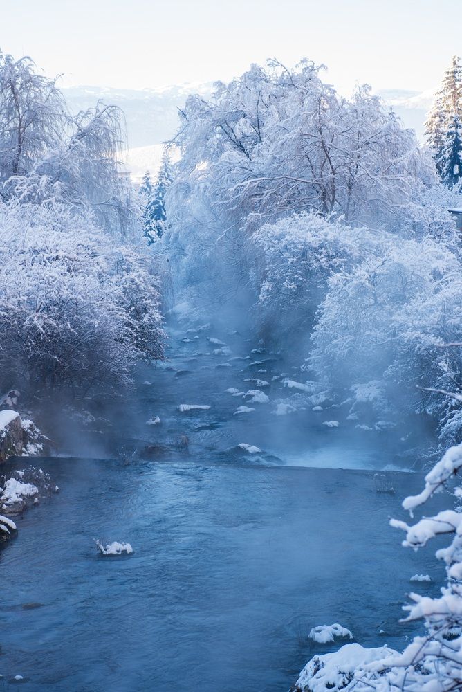 Фотография автора Antea Miloloza