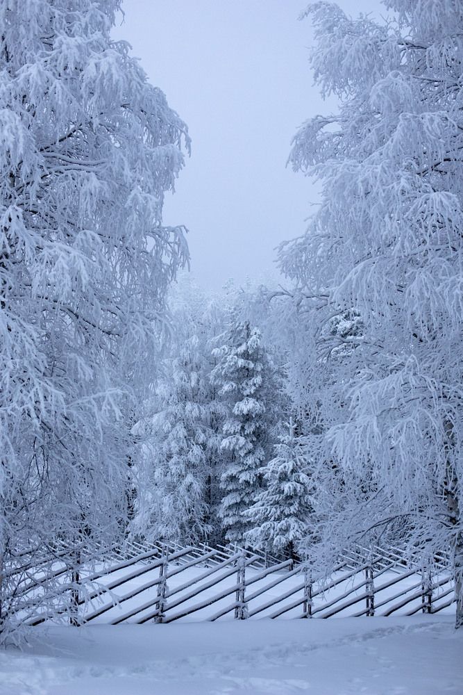 Photograph by Elena Kostochkina