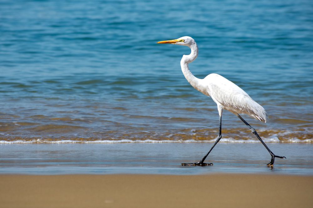 Photograph by Shahrouz Panahi