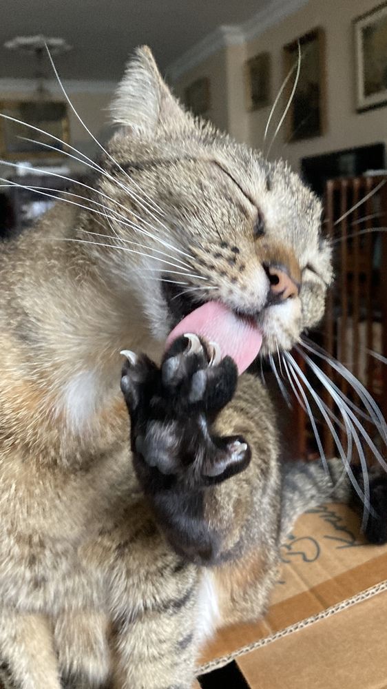 Photograph by Itır Sunalp