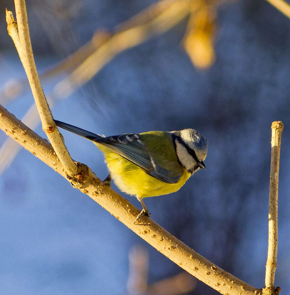 Photograph by Павел Кулинич