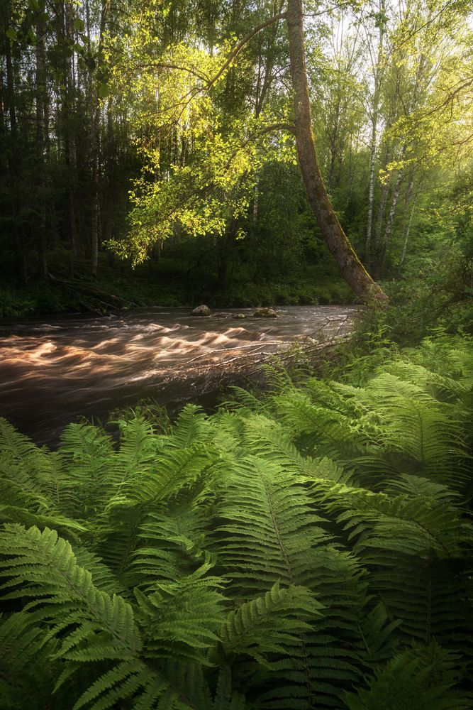 Photograph by Ivan Glinskiy