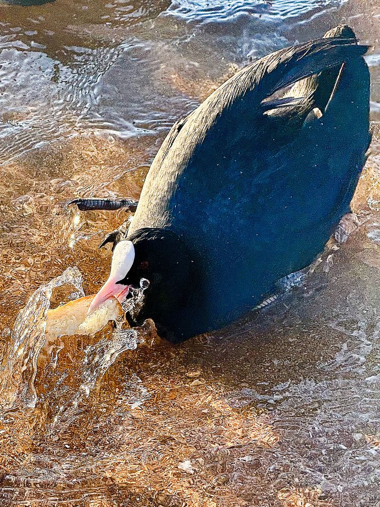 Photograph by Мария Якубовская