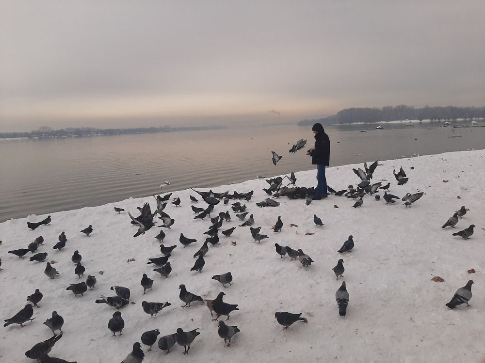 Photograph by amalija radović