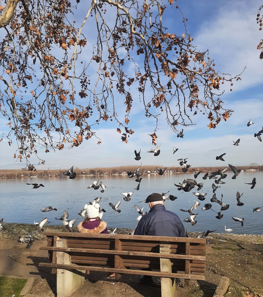 Photograph by amalija radović