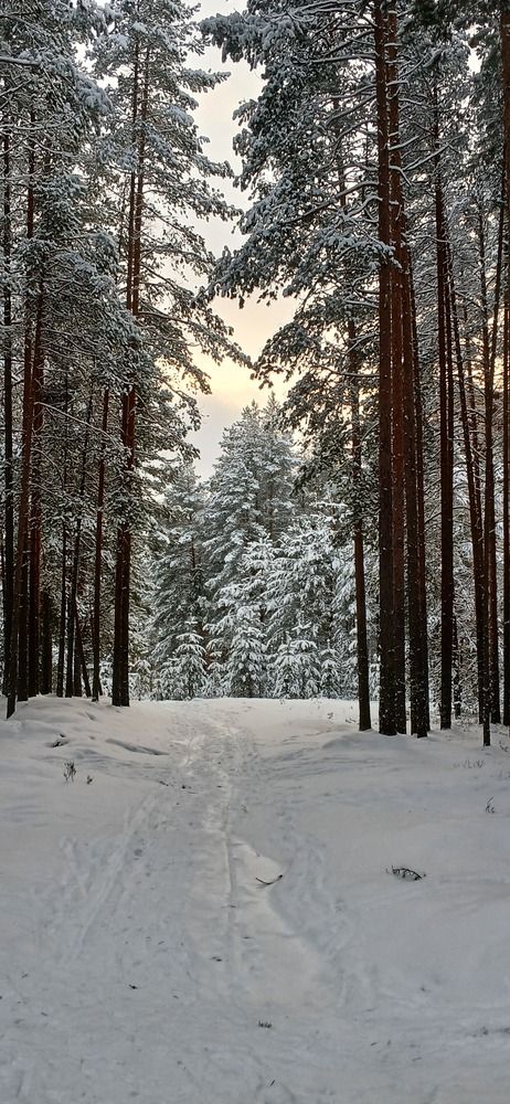 Вологодчина...