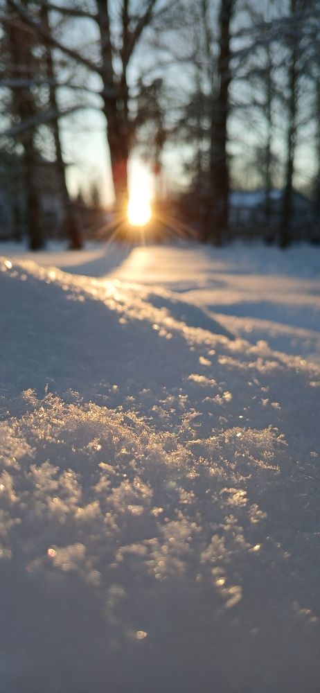 Ледяная красота