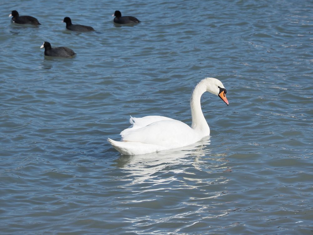 Photograph by Сергей Борисов