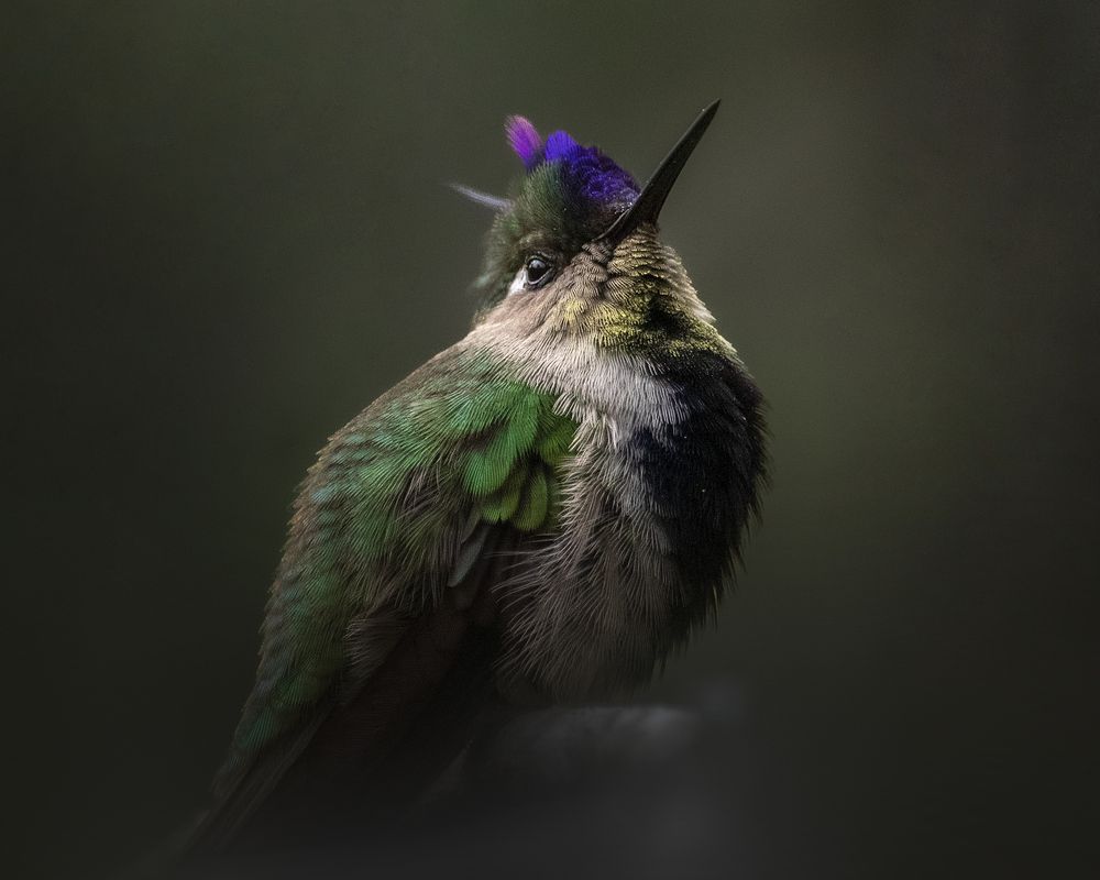 Photograph by Rodrigo Ramos