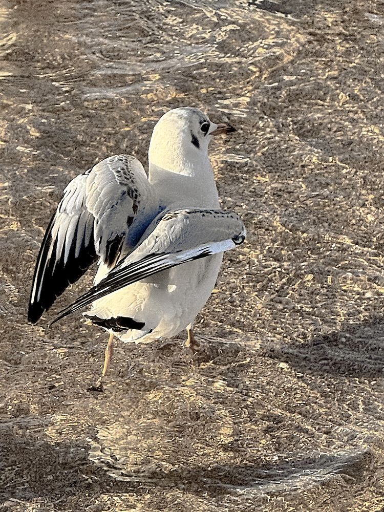 Photograph by Мария Якубовская