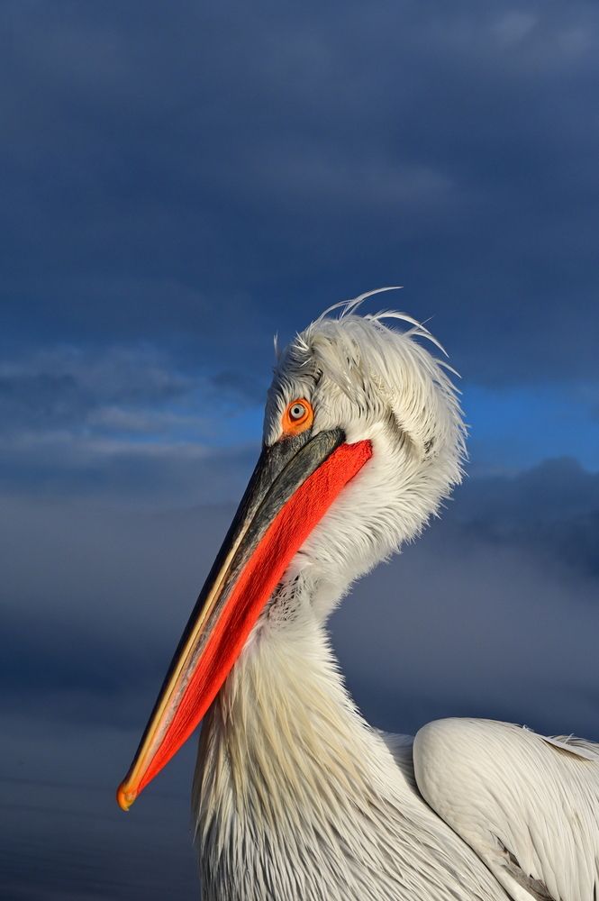 Photograph by Eftychia Vlachonatsou