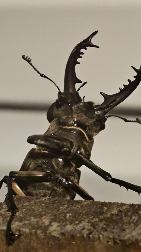 Photograph by Ann Nemchinova