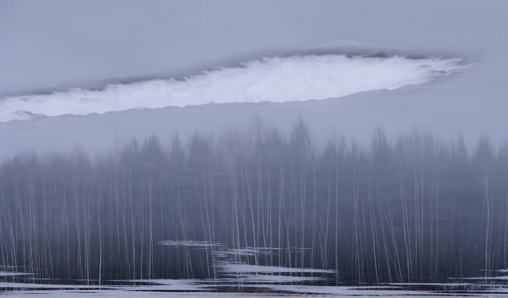 Photograph by Алексеев Дмитрий