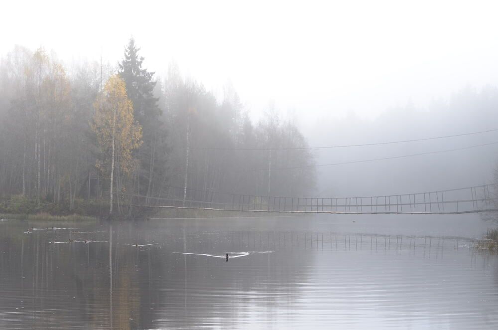 Photograph by лиза комарова