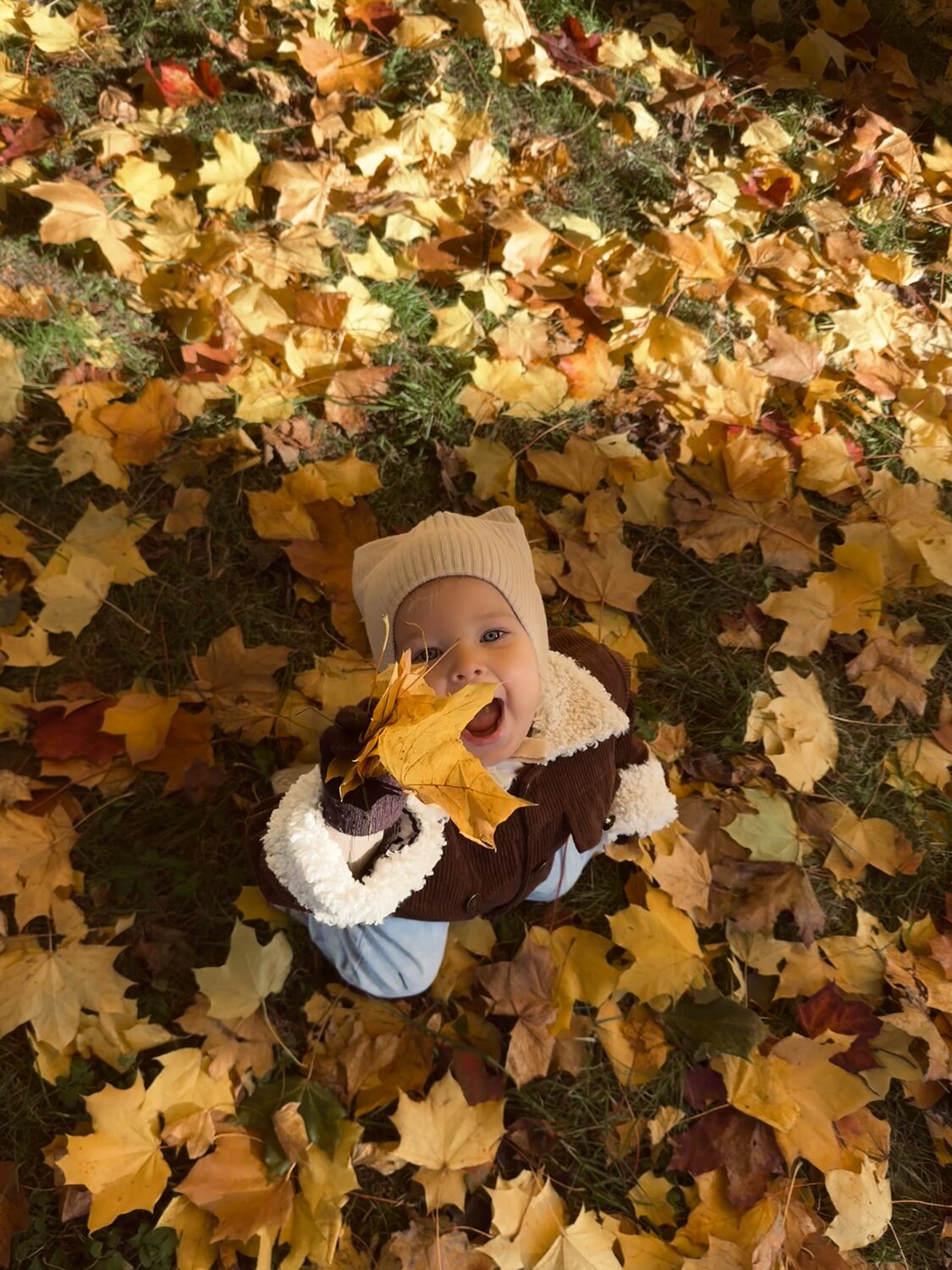 Photo #13247255