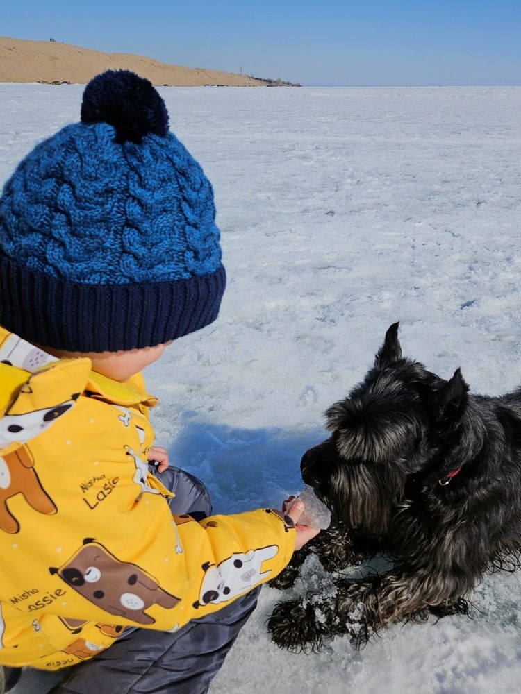 Photograph by Эльвира