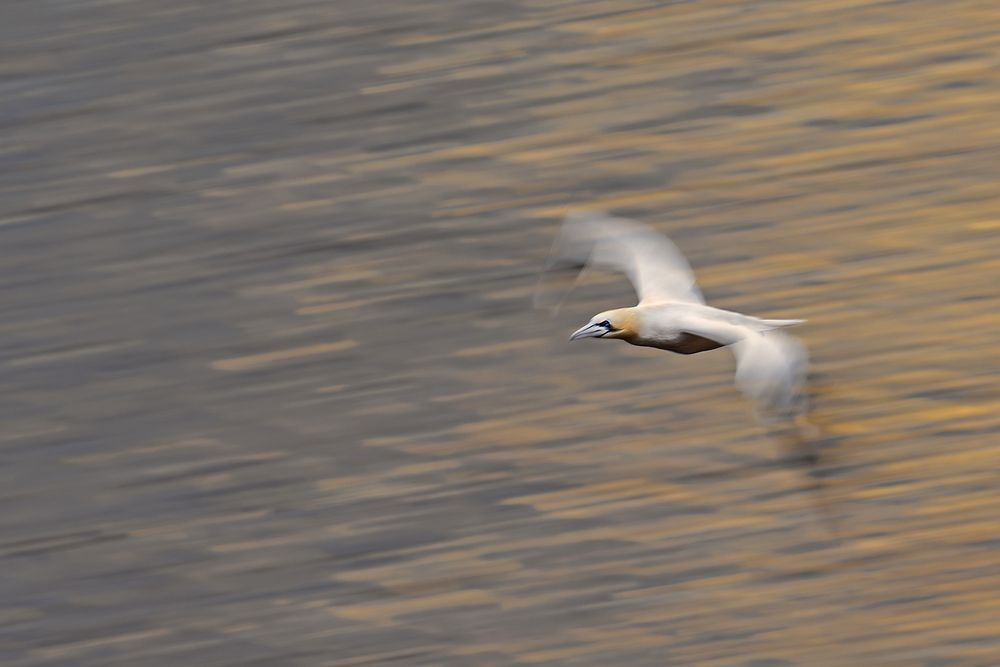 In motion