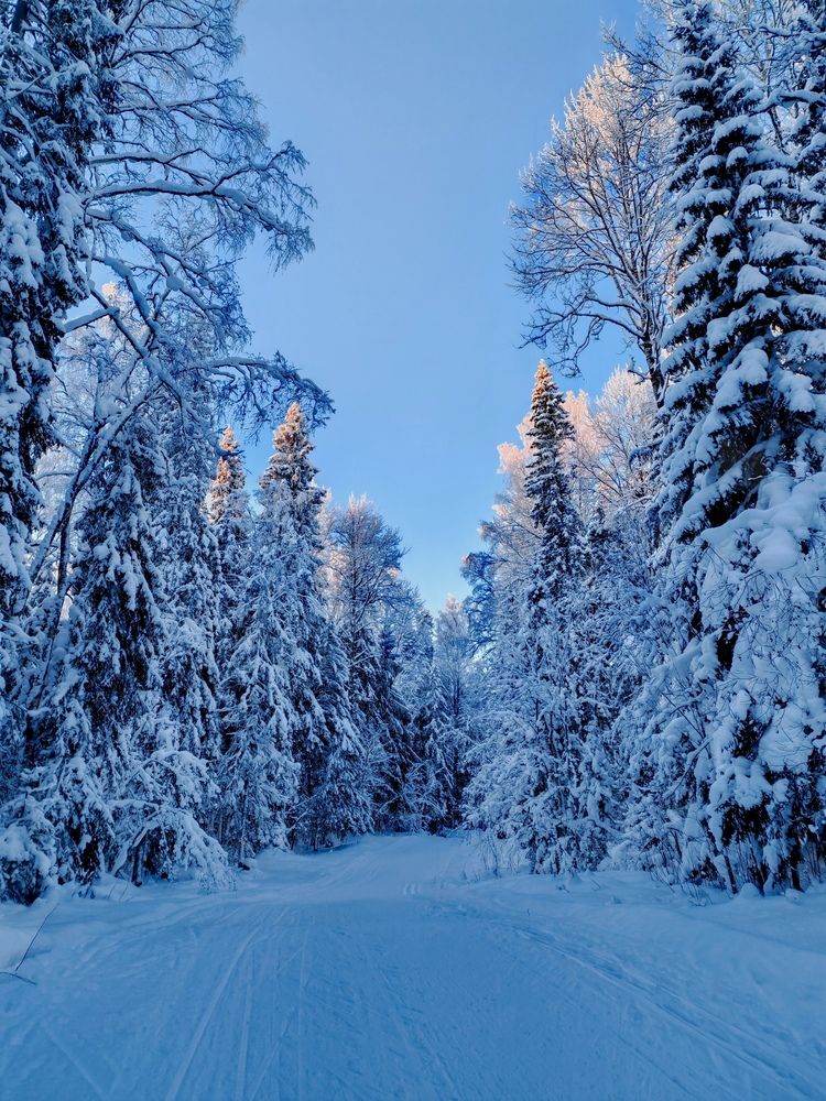 Photograph by Елена Кузьмичева
