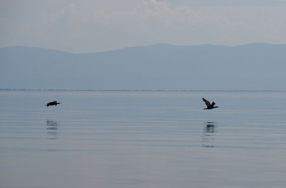 Photograph by Андрей Корытов