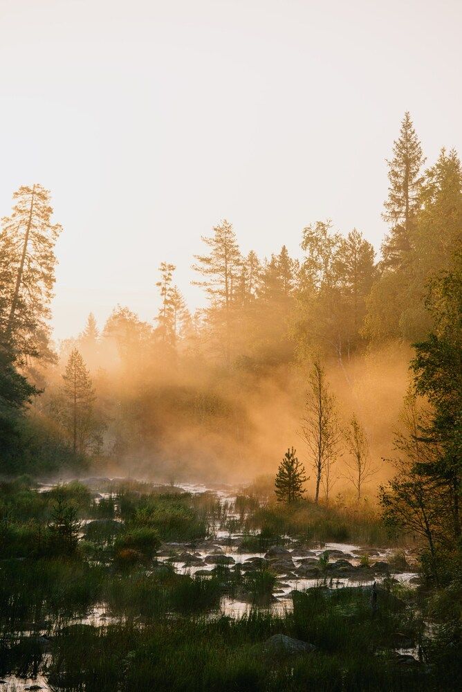 Photograph by Александра Мельник