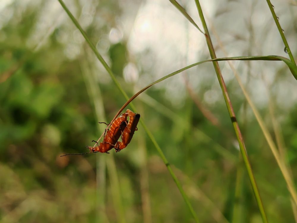Photograph by Елена Кузьмичева