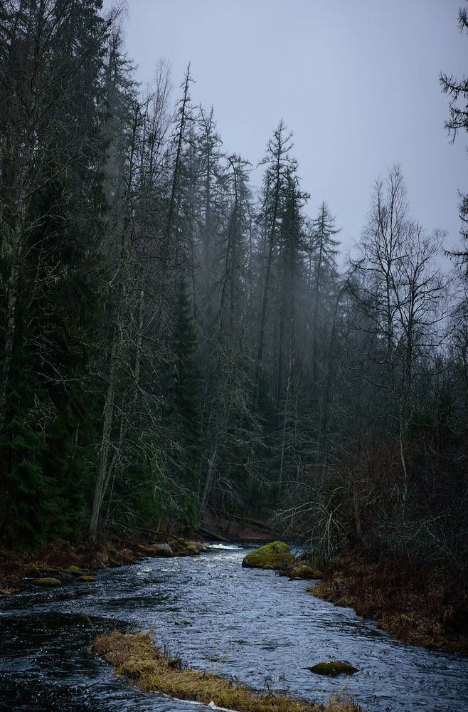 Photograph by Анастасия