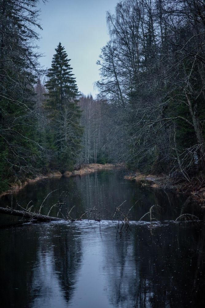 Photograph by Анастасия