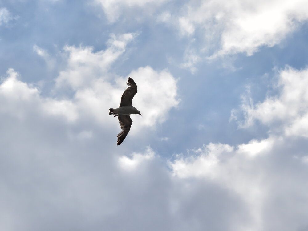 Photograph by Сергей Борисов