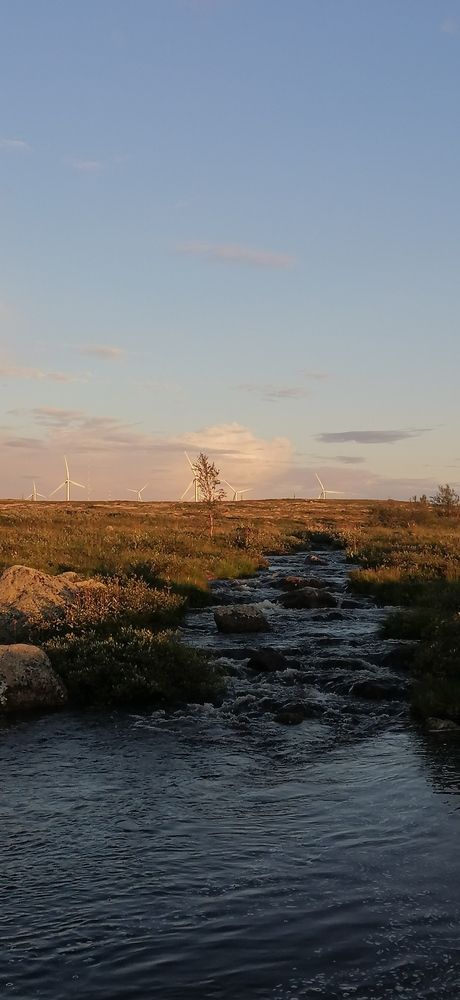 Photograph by Александр Парамонов