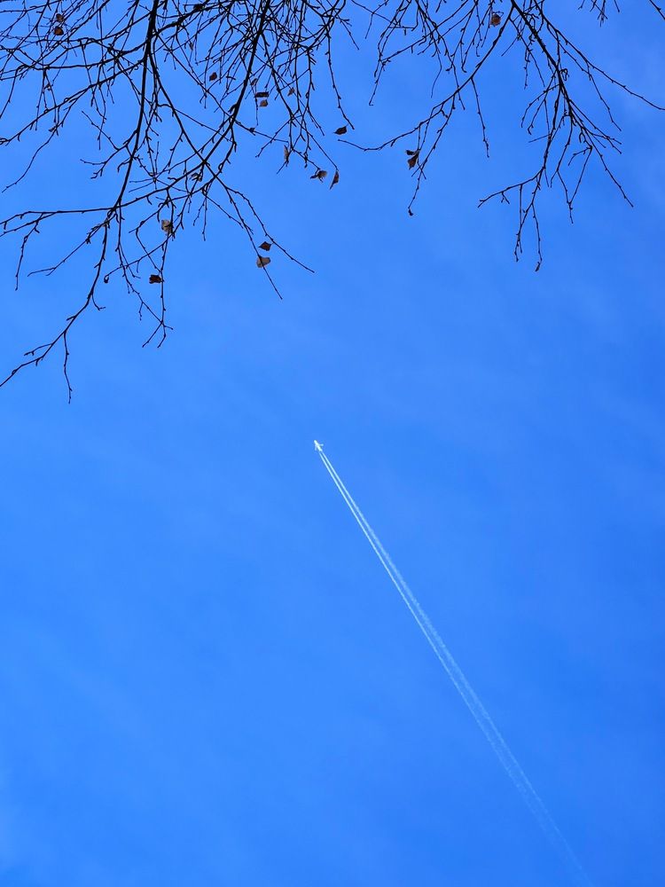 Photograph by Эльвира