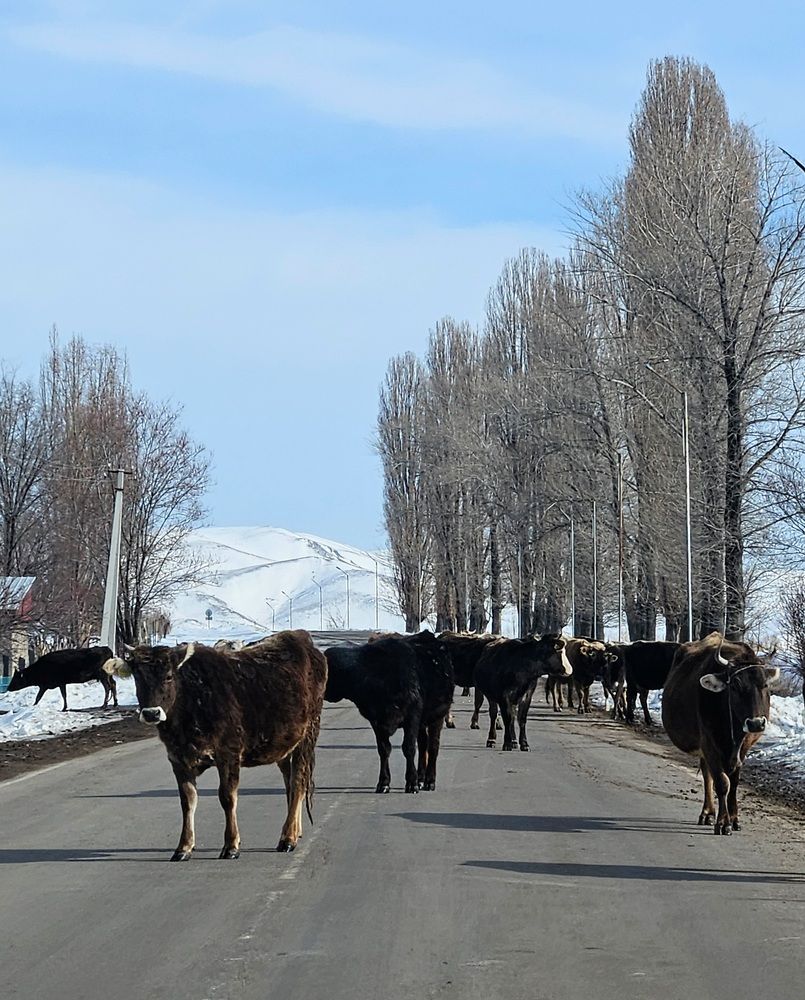 Photograph by Эльвира