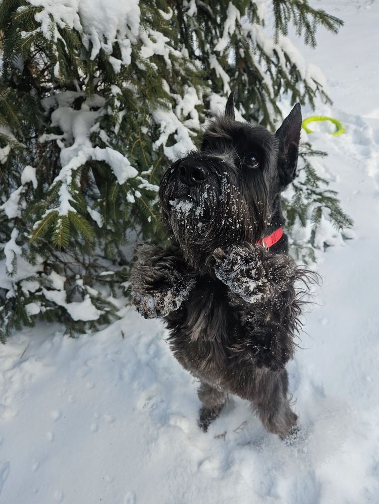 Photograph by Эльвира