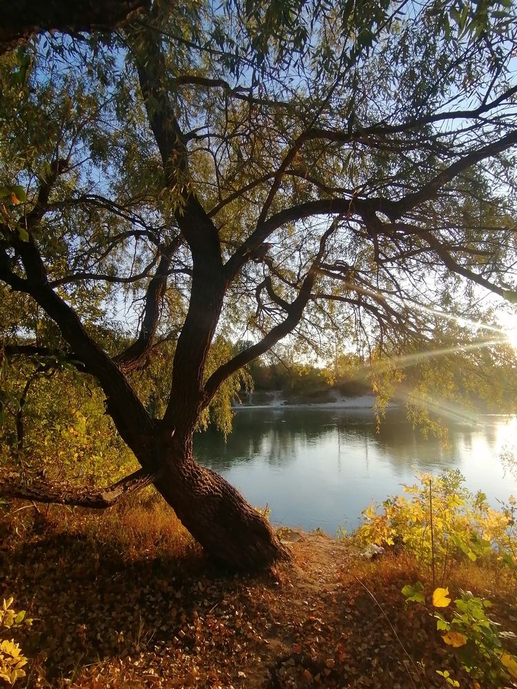 Photograph by Александр Парамонов