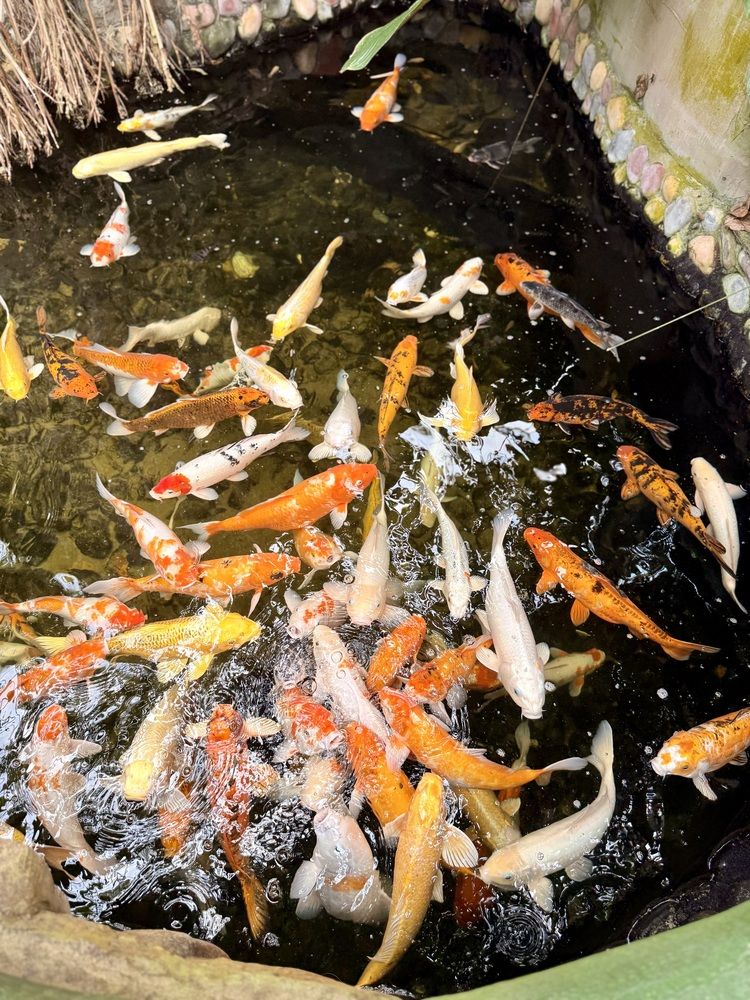 Photograph by Елизавета Павлова