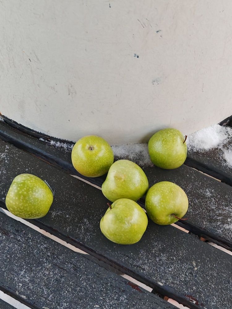 Яблоки на снегу