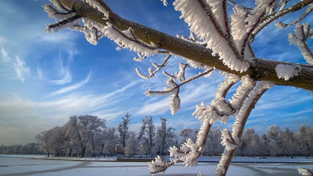 Photograph by Юлия Залалова