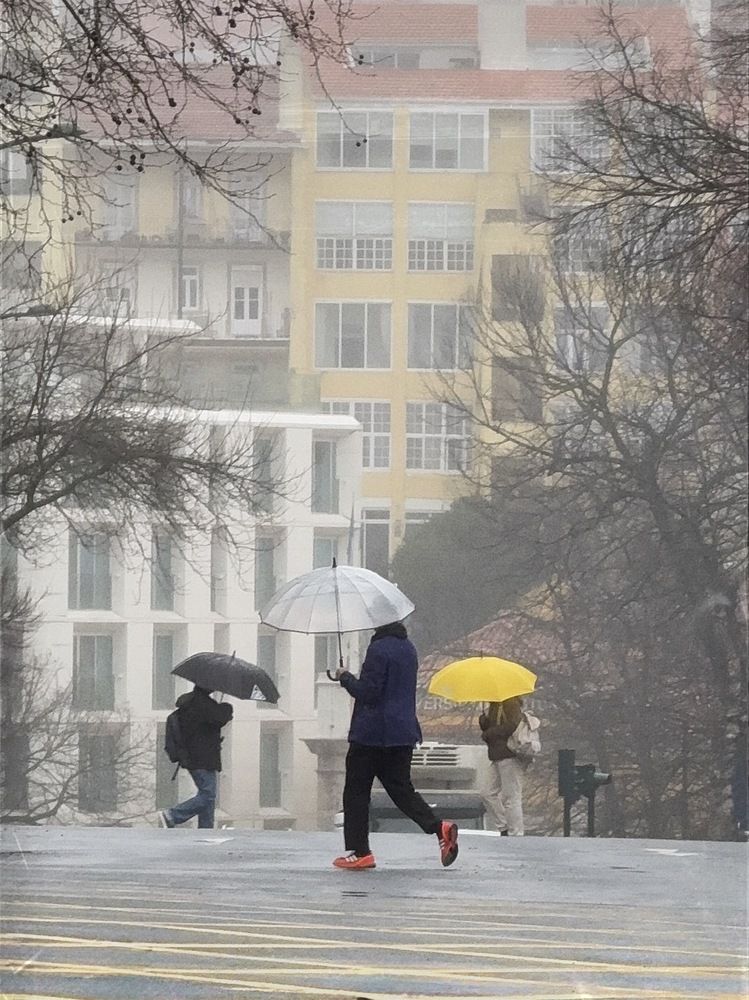 Photograph by Halyna Khomyk