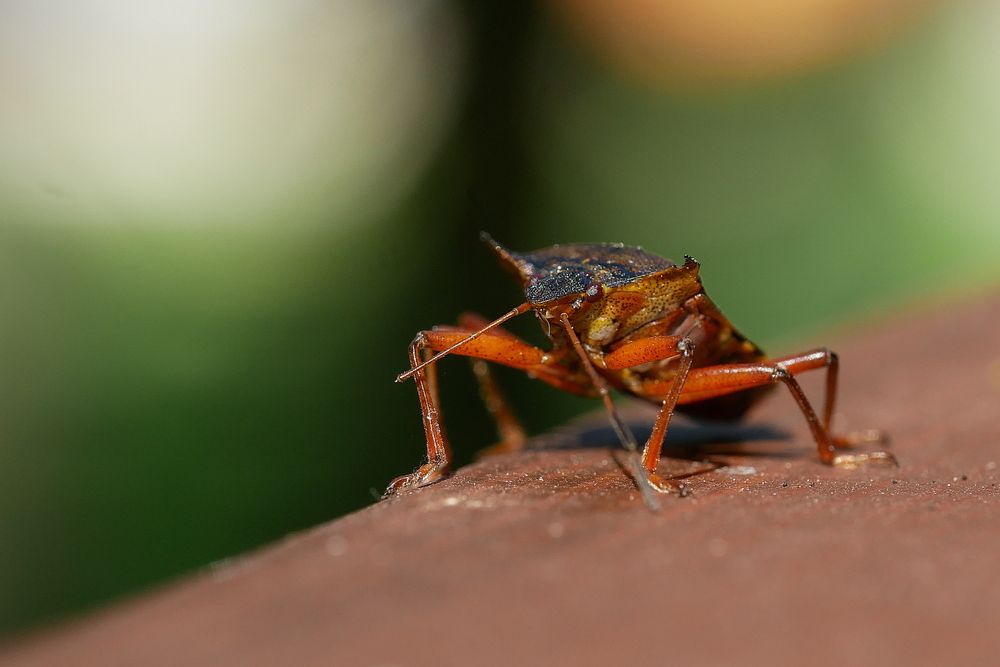 Photograph by Владимир Лобанов
