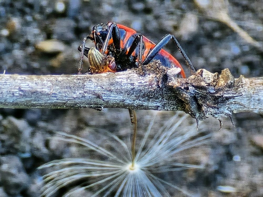 Photograph by Елена Ибрагимова