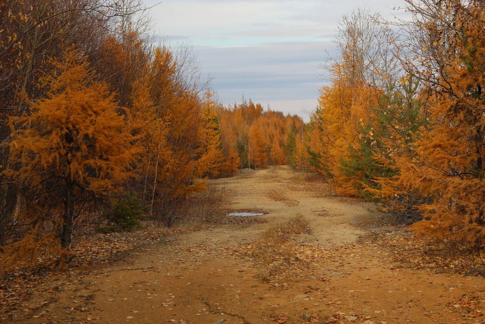 Photograph by Михаил Мархинин