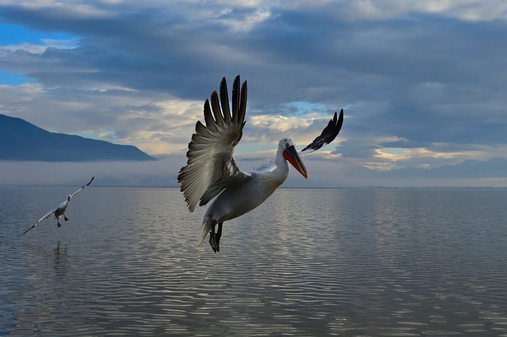 Photograph by Eftychia Vlachonatsou