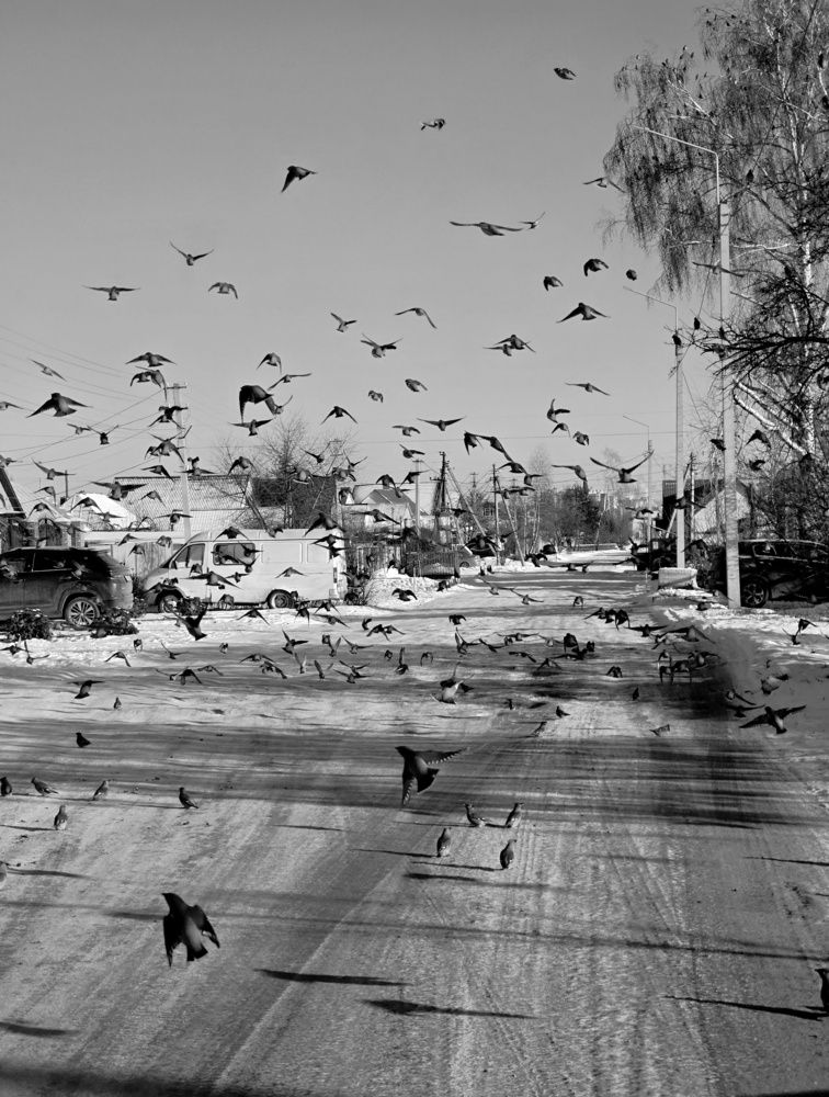 Photograph by Елена Ибрагимова