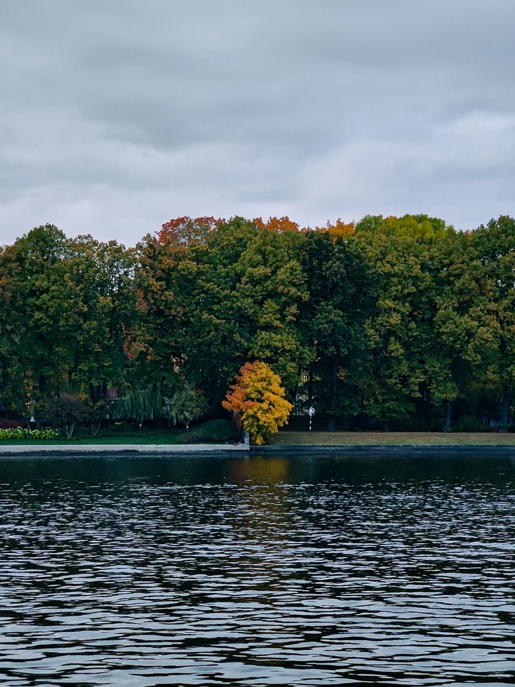 Photograph by Александр Доминов