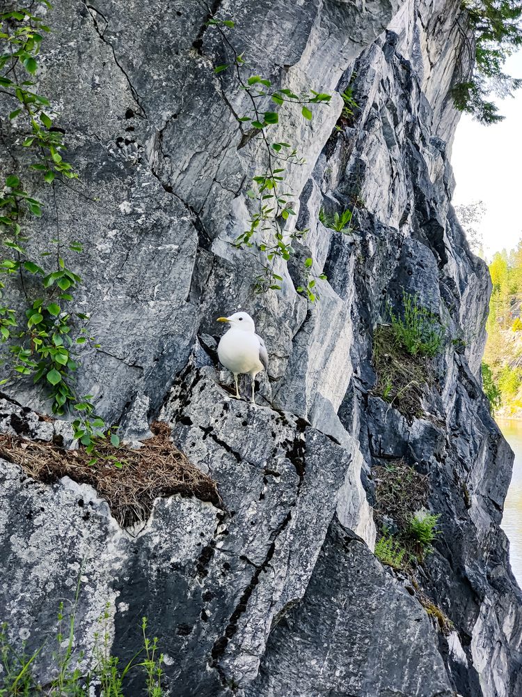 Photograph by Александр Доминов