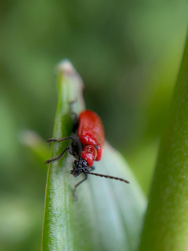 Photograph by Анна Пигулевская