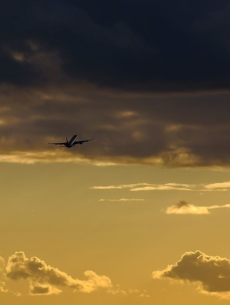 Фотография автора robot